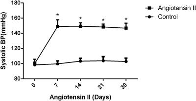 Microglial TREM2 Mitigates Inflammatory Responses and Neuronal Apoptosis in Angiotensin II-Induced Hypertension in Middle-Aged Mice